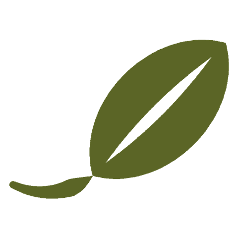 Apollo logo